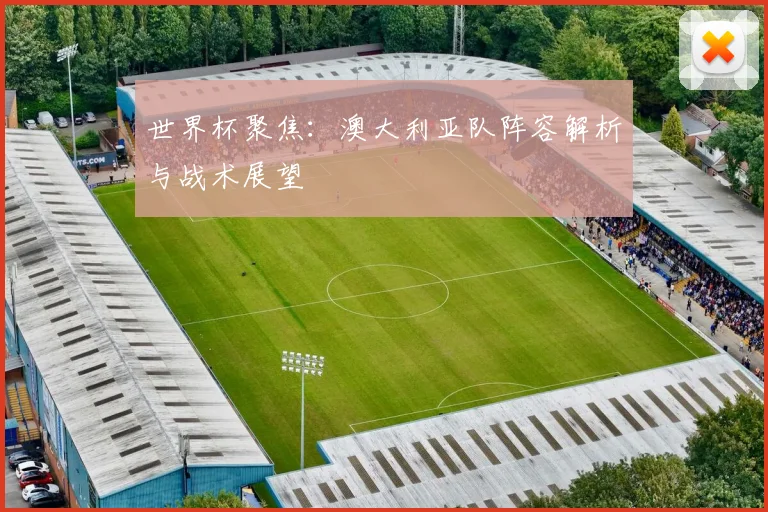 世界杯聚焦：澳大利亚队阵容解析与战术展望