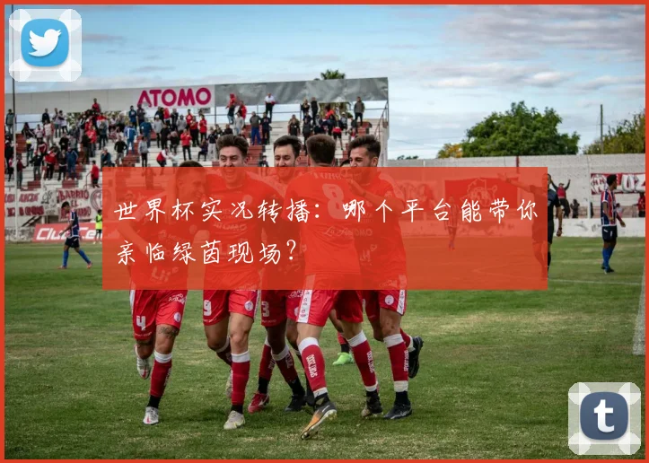 世界杯实况转播:哪个平台能带你亲临绿茵现场?