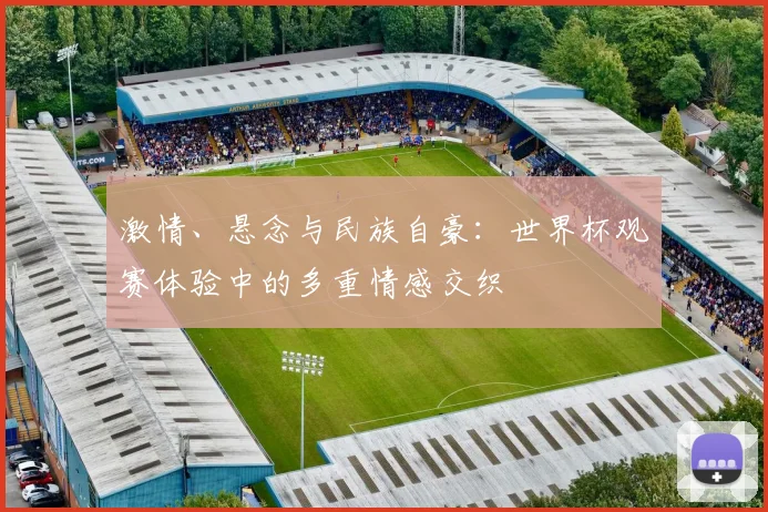激情、悬念与民族自豪：世界杯观赛体验中的多重情感交织