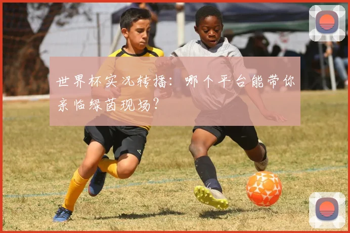 世界杯实况转播：哪个平台能带你亲临绿茵现场？